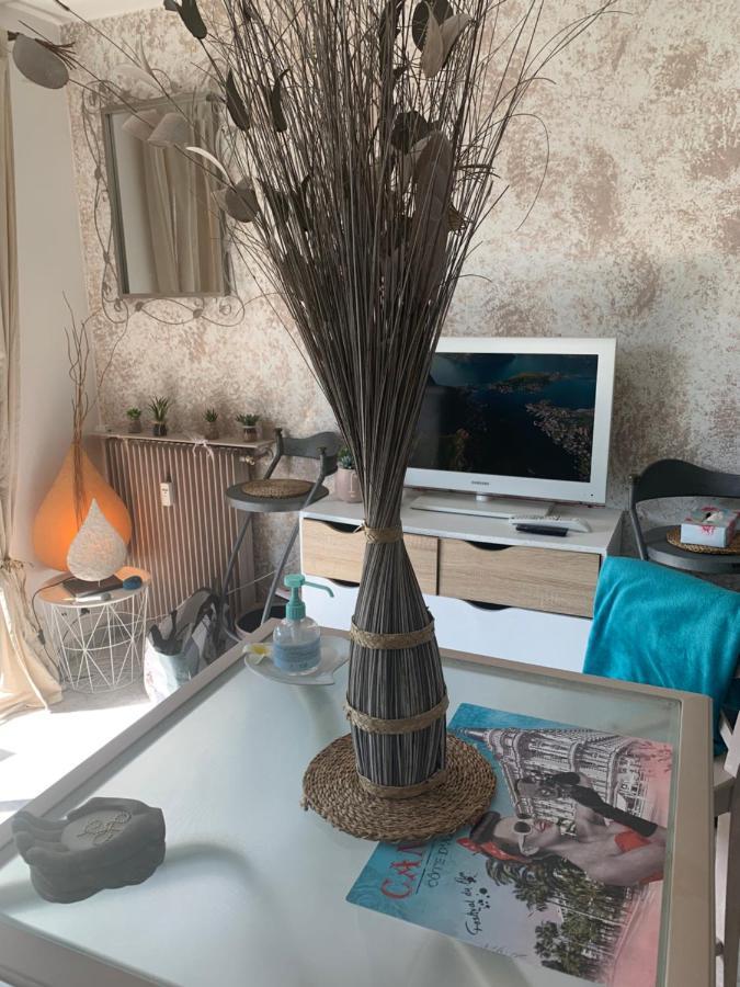 Luxurious Studio In Cannes 450M From Sea With Terrace And Air Conditioning And Private Parking Exterior foto